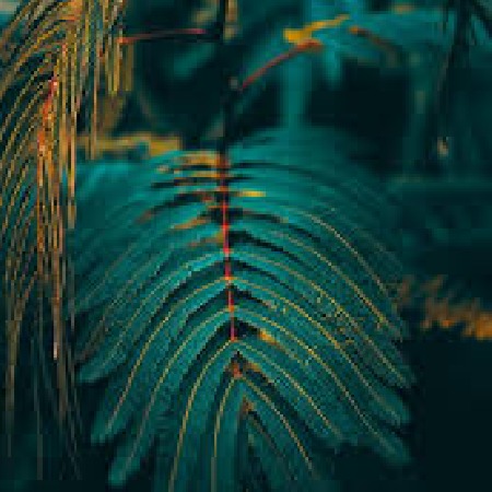 testing course 1 Image