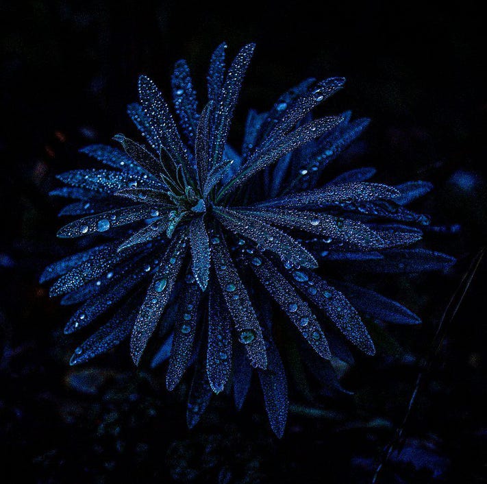 COurse 3 jan test 2 Image